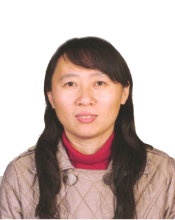 赌博网
