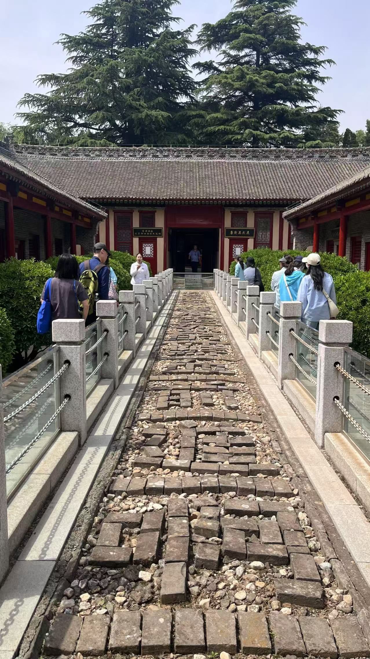赌博网
